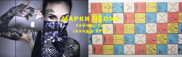 твердый Бородино