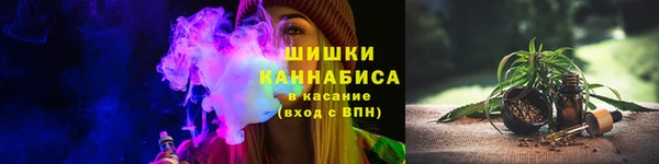 твердый Бородино