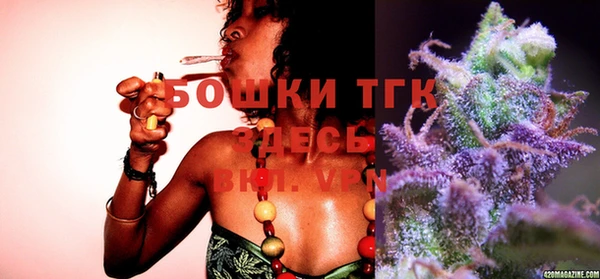 твердый Бородино