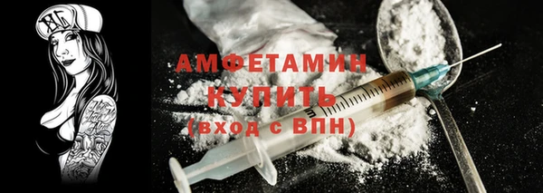 твердый Бородино