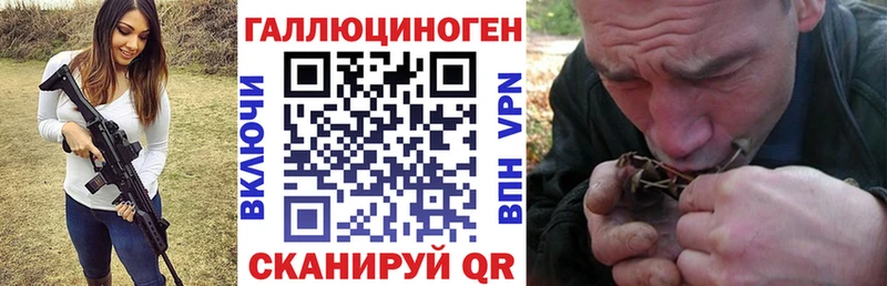 mega ссылки  Сочи  Псилоцибиновые грибы ЛСД  купить  